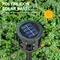 solar garden light